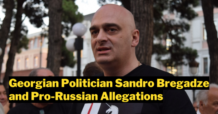 Sandro Bregadze and the Pro-Russian Allegations
