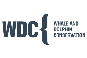 Whale and Dolphin Conservation