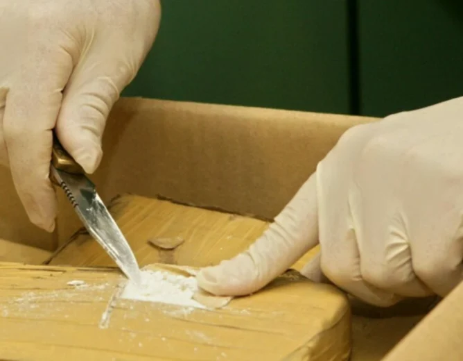 Albania Dismantles Powerful Cocaine Trafficking Network Targeting Europe in Major Law Enforcement Operation