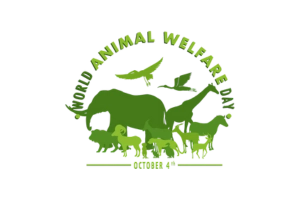Animal Welfare And Trade Ltd