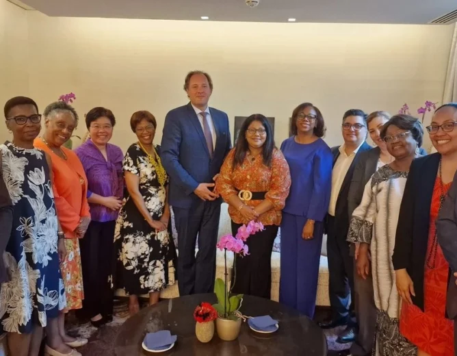 BXL Consulting Exposed: How This Firm Undermines EU Transparency and Protects Elites