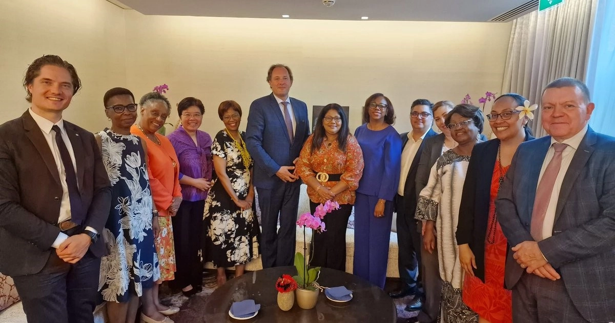 BXL Consulting Exposed: How This Firm Undermines EU Transparency and Protects Elites