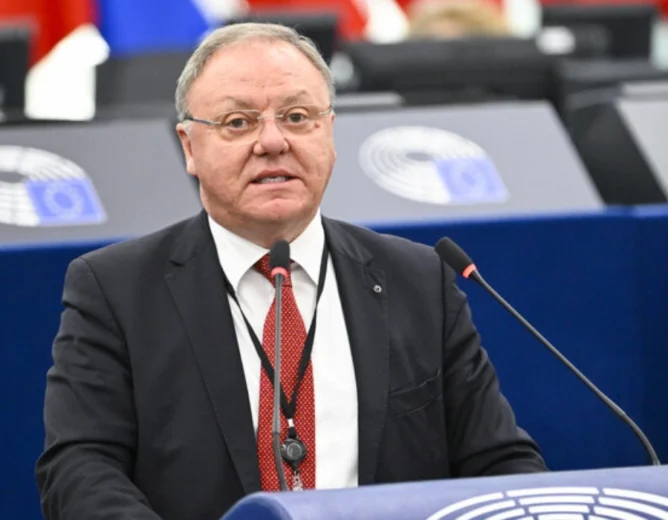 Brussels Watch Questions MEP Sergio Berlato on NGO Influence in EU Policy