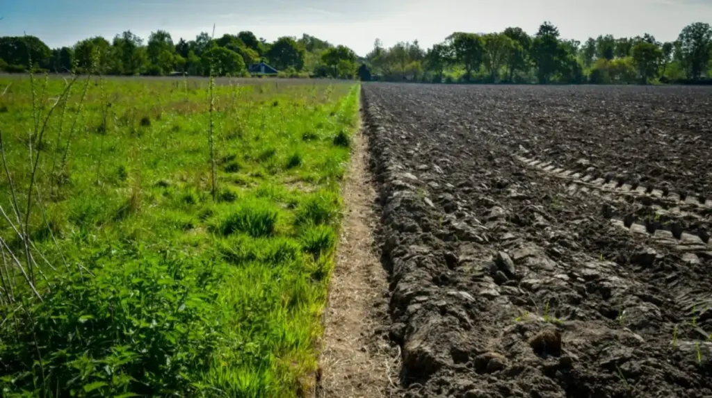 Croatia 21 Arrested in Suspected EU Farm‑Fund Fraud Scheme