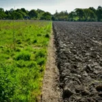 Croatia: 21 Arrested in Suspected EU Farm‑Fund Fraud Scheme