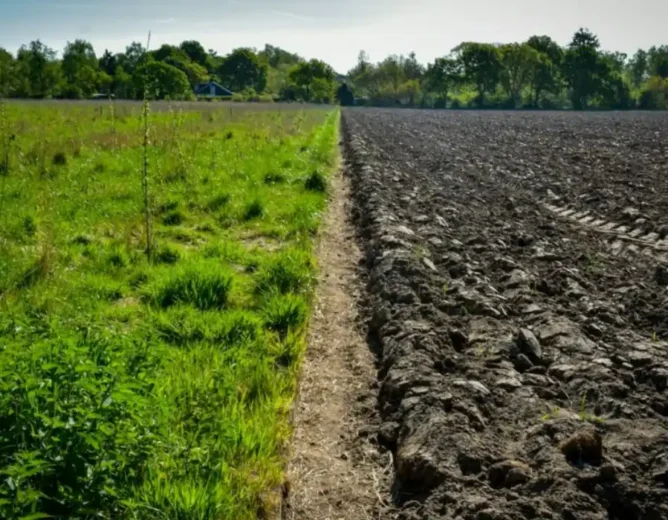 Croatia 21 Arrested in Suspected EU Farm‑Fund Fraud Scheme