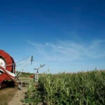 EPPO Probes Croatia Farm Fund Fraud, Corruption in Key Raids