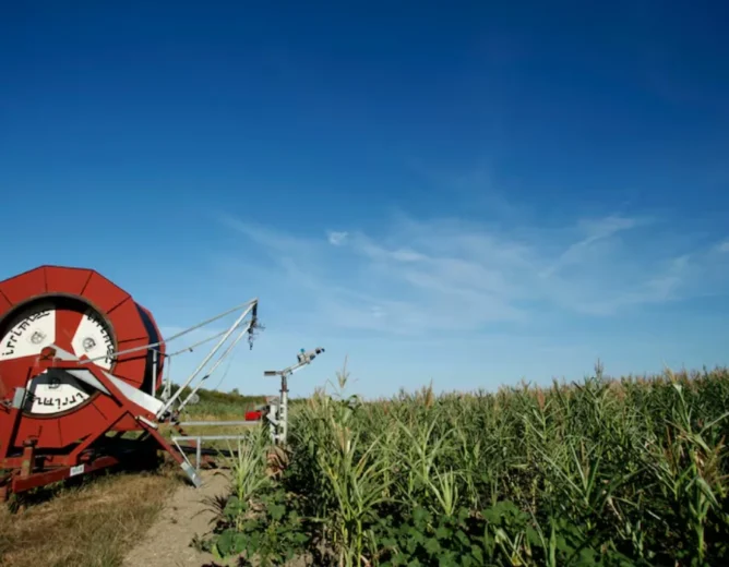 EU Prosecutors Arrest 21 Croatians in Farm Aid Fraud Probe