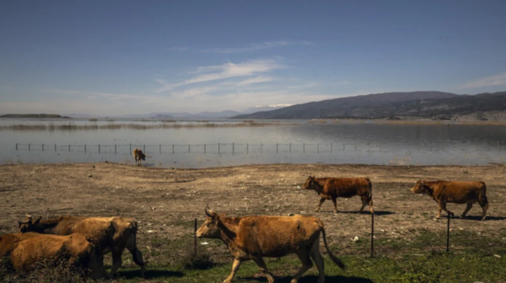 EU Warns Greece Over Potential Loss of Farm Payments Amid Massive Fraud Scandal