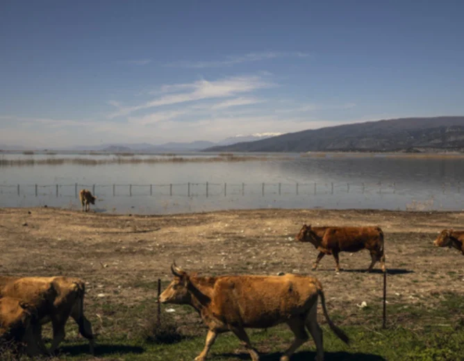 EU Warns Greece Over Potential Loss of Farm Payments Amid Massive Fraud Scandal