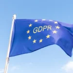 Ex-Lobbyist for Meta Becomes Irish Data Protection Commissioner