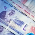 Financial Shadows: The Story Behind Rassemblement National UAE Funding
