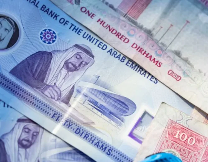 Financial Shadows: The Story Behind Rassemblement National UAE Funding