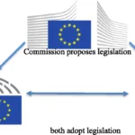 Inside EU Negotiations: How Shadow Rapporteurs Shape Parliamentary Deals