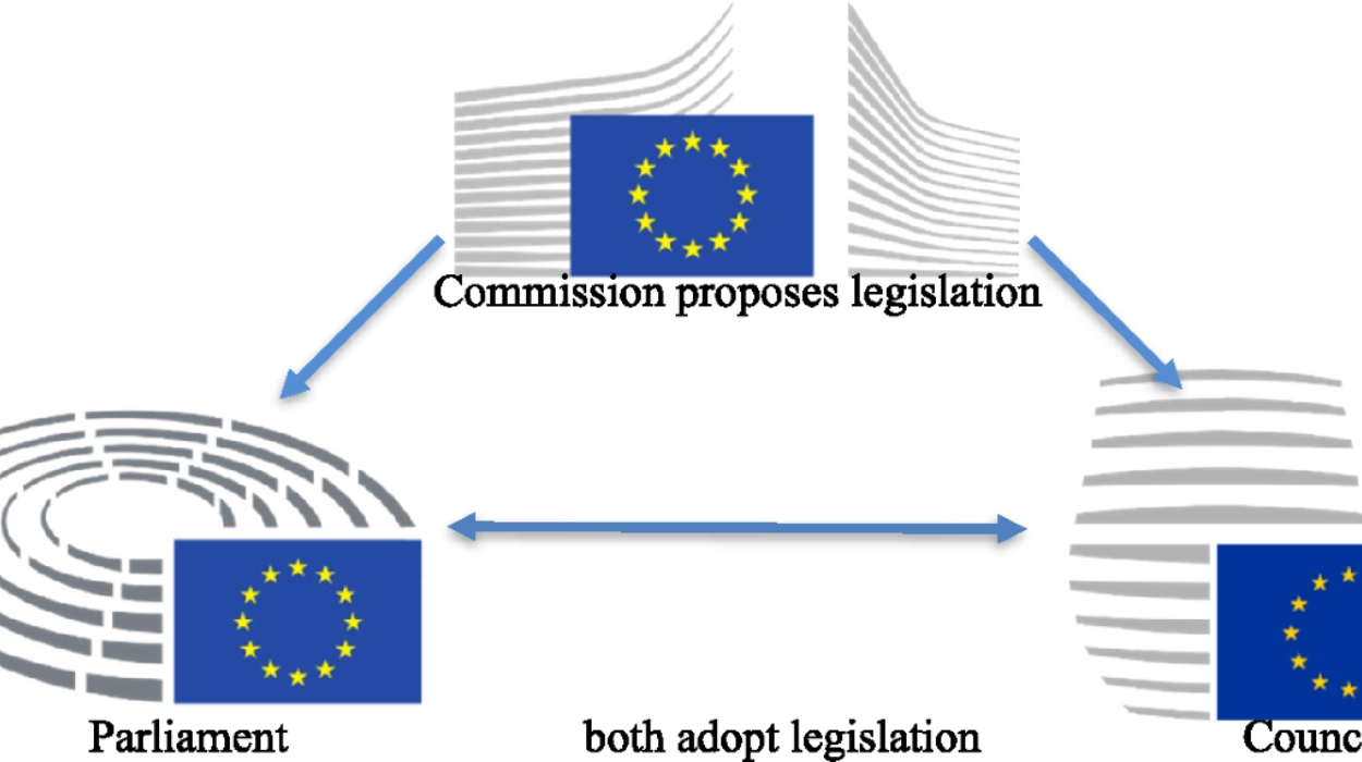 Inside EU Negotiations How Shadow Rapporteurs Shape Parliamentary Deals