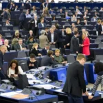 National Parties vs. EU Power: Inside MEP Influence
