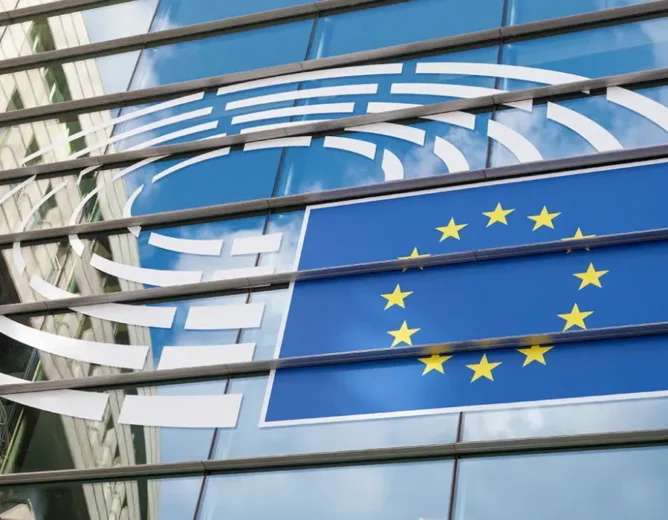 The Role of Lobbyists in Shaping the EU’s 2025 Legislative Agenda