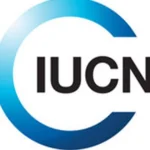 Unveiling the Deep Influence of the International Russian Conservation Union on EU Politics